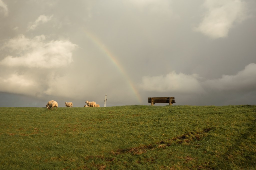 Leeraner Deich mit Regenbogen